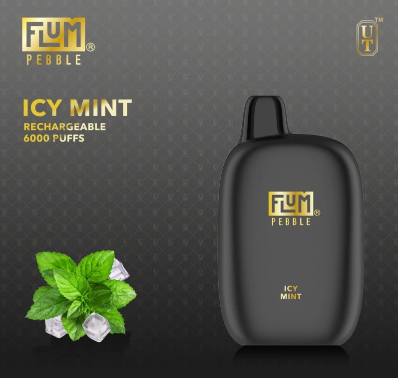 FLUM PEBBLE 6000 Puffs Vape – eisige Minze: Der kühle Fels in der Brandung des österreichischen Dampf-Universums 2025